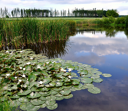 shutterstock_56564251